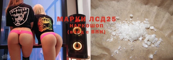 прущие грибы Няндома