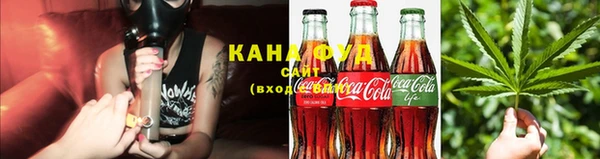 прущие грибы Няндома