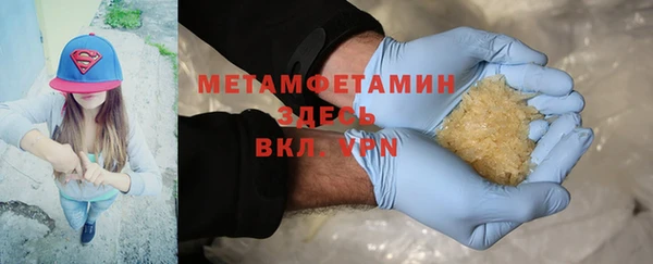 прущие грибы Няндома