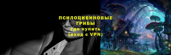 прущие грибы Няндома