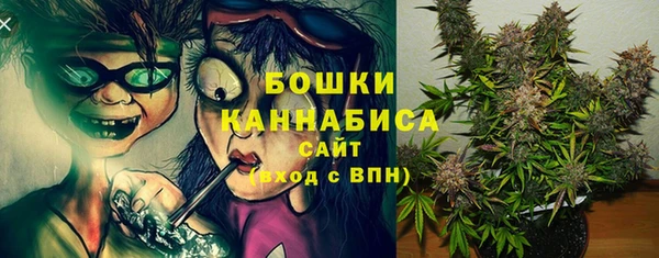 прущие грибы Няндома