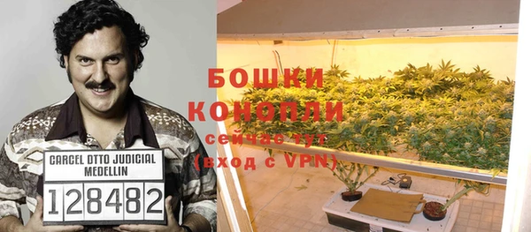 прущие грибы Няндома