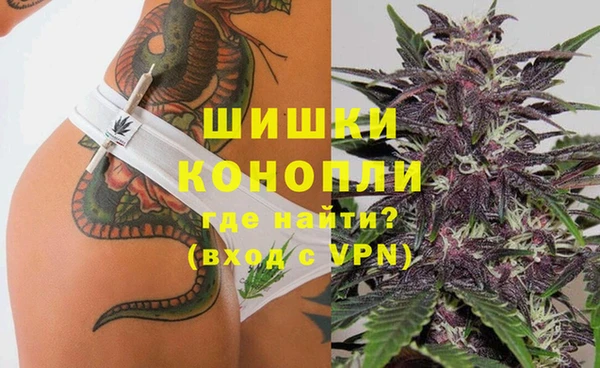 прущие грибы Няндома