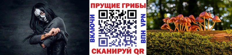 OMG как зайти  Покров  сайты даркнета состав  Псилоцибиновые грибы мухоморы 