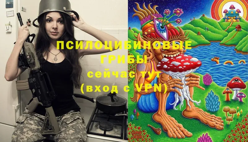 Псилоцибиновые грибы Psilocybe  Покров 